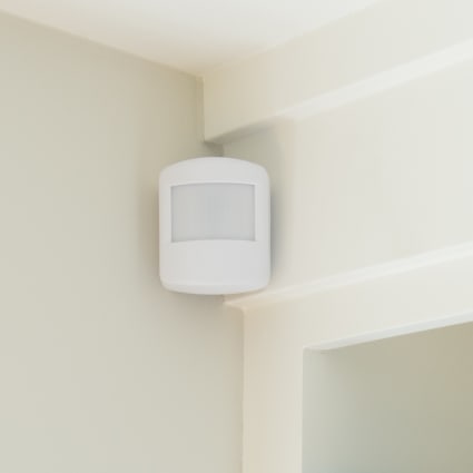 Chandler motion sensor