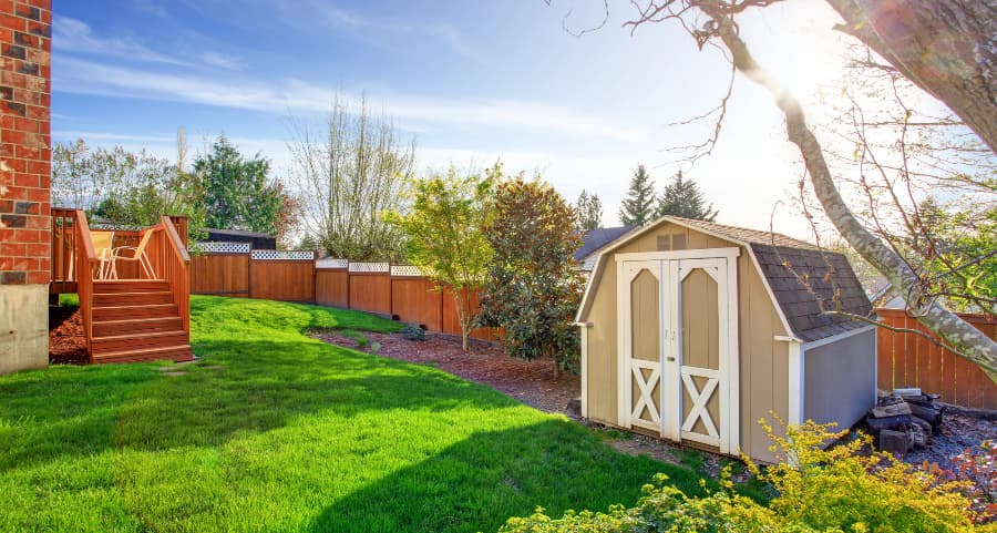 Fenced backyard with storage shed in Chandler